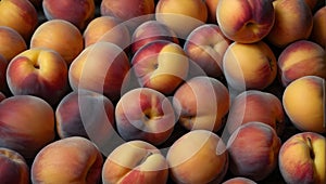 peach background numerous peaches