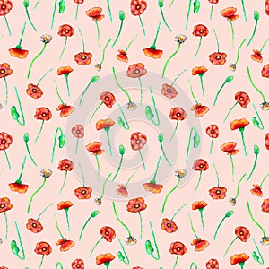 Peach background with red hand painted poppies