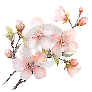peach blossom Generative Ai