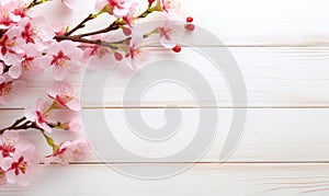 peach blossom on white wooden background with copy space for your text