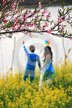 Peach blossoms with loving couple