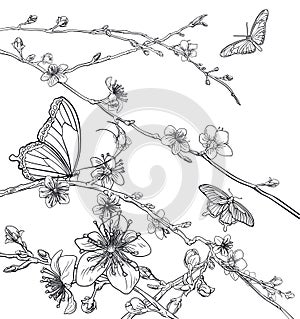 Butterflies Cherry Peach Blossom Flowers