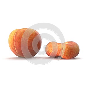 Peach Collection Isolated on White Background 3D Illustration