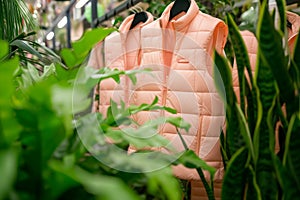 peach color summer vests hanging among green plants in a store