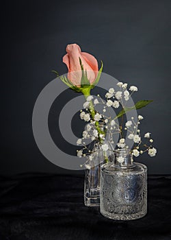 Peach colored rose bud in petite glass vase.