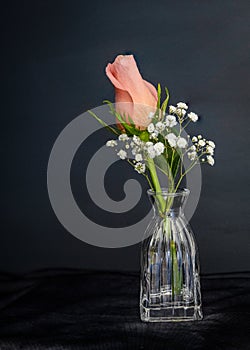 Peach colored rose bud in petite glass vase.