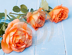 Peach colored roses on the table