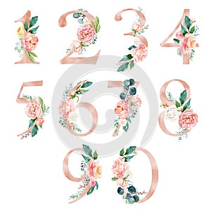 Peach cream / Blush Floral Number Set - digits 1, 2, 3, 4, 5, 6, 7, 8, 9, 0 with flowers bouquet composition