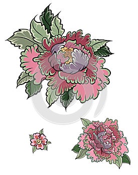 Peach flower for tattoo.Chinese flower vector.Hand drawn peach juice with cherry blossom.