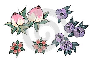 Peach flower for tattoo.Chinese flower vector.Hand drawn peach juice with cherry blossom.