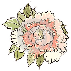 Peach flower for tattoo.Chinese flower vector.Hand drawn peach juice with cherry blossom.