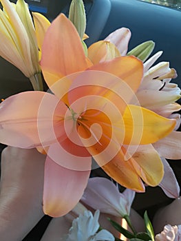 Peach frenzy bouquet