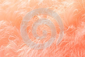 Peach fuzz color fluffy fur background