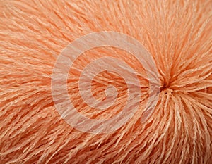 Peach fuzz texture design