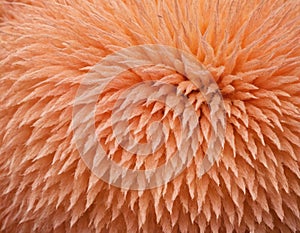 Peach fuzz texture design