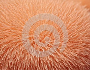 Peach fuzz texture design