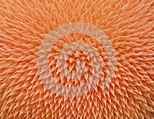 Peach fuzz texture design