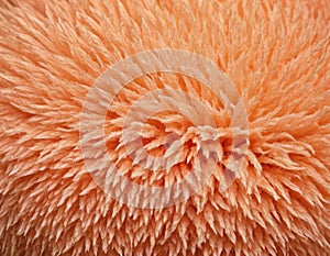 Peach fuzz texture design