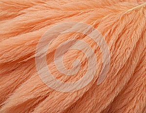 Peach fuzz texture design