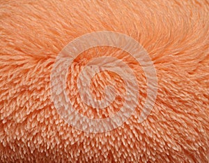 Peach fuzz texture design