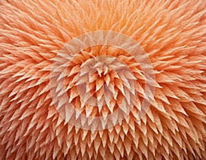 Peach fuzz texture design