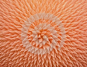 Peach fuzz texture design