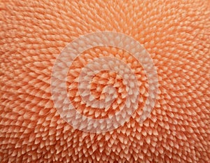 Peach fuzz texture design