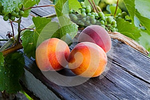Peach and grapes