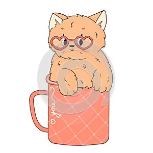 Peach happy cat sits in the patterned cup. Pink Heart glasses for Valentines Day Party are on his face. Isolated animal is on