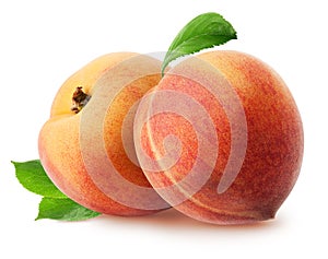 Peach isolated. Two whole peach fruits with leaves isolated on white