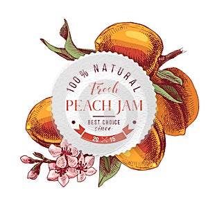 Peach jam paper emblem over hand drawn peach branche