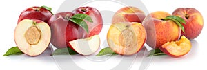 Peach nectarine peaches nectarines slice half fruit fresh fruits