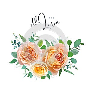 Peach, orange, yellow English garden rose flowers, green eucalyptus leaves, branches bouquet. Watercolor style, editable vector