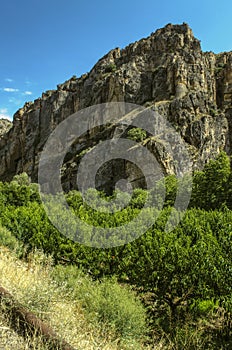 Peach orchards at the foot of the basalt rocks near the road leading to the city of Yeghegnadzor in Armenia