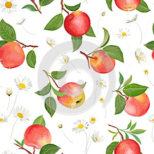 Peach pattern with daisy, tropic fruits, leaves, flowers background. Vector seamless texture illustration