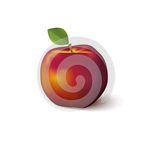 Peach realistic ripe vector with leaf