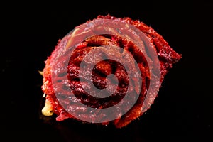 Peach stone on dark background close up