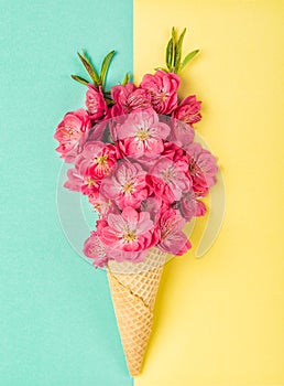 Peach tree blossom waffle cone Pink flowers