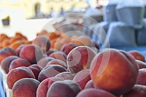 Peaches and apricots and other fruit and vegetables for sale at local farmers market. Fresh organic produce for sale at