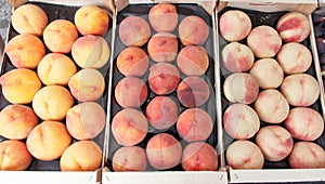 Peaches and apricots for sale