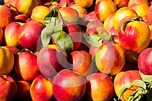 Peaches Background