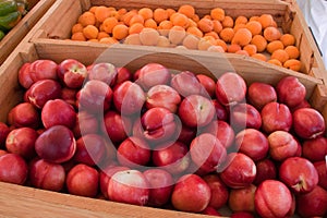 Peaches at a Farmer's Market