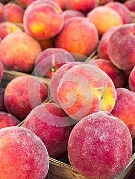 Peaches at a farmers market