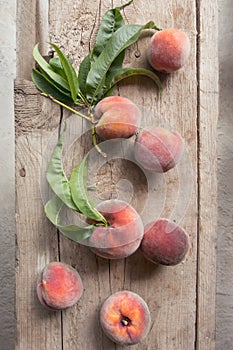 Peaches gathered from the garden on a wooden background