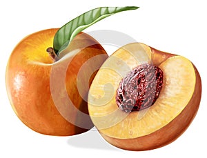 Peaches isolated on white