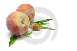 Peaches with Kernel