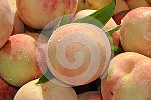 Peaches nectarine