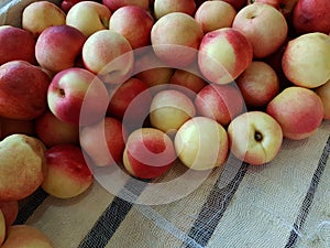 The peaches and nectarines