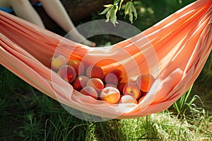 peaches in a peach fabric hammock, person lounging beside it