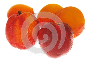 Peaches on white background